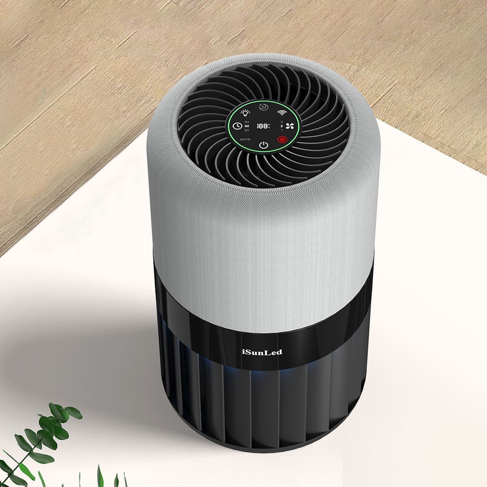 How People Purified Air in the Past?
