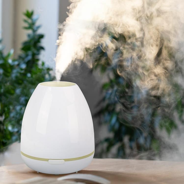What's the Difference Bqetween Aroma Diffusers and Humidifiers?
